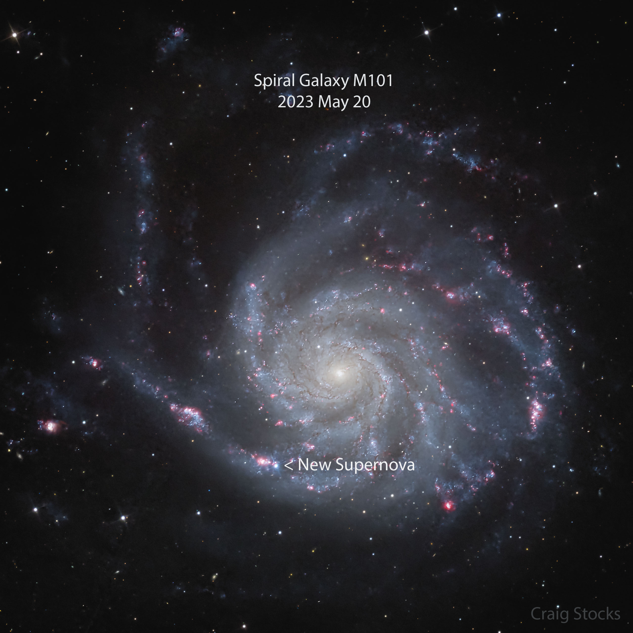       M101