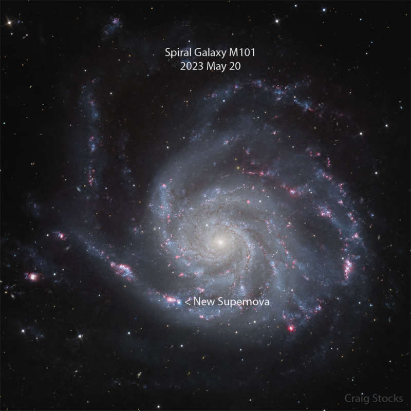 Сверхновая открыта в близкой спиральной галактике M101