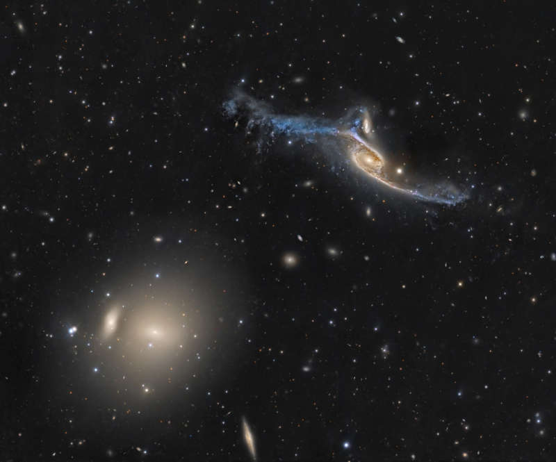 Giant Galaxies in Pavo