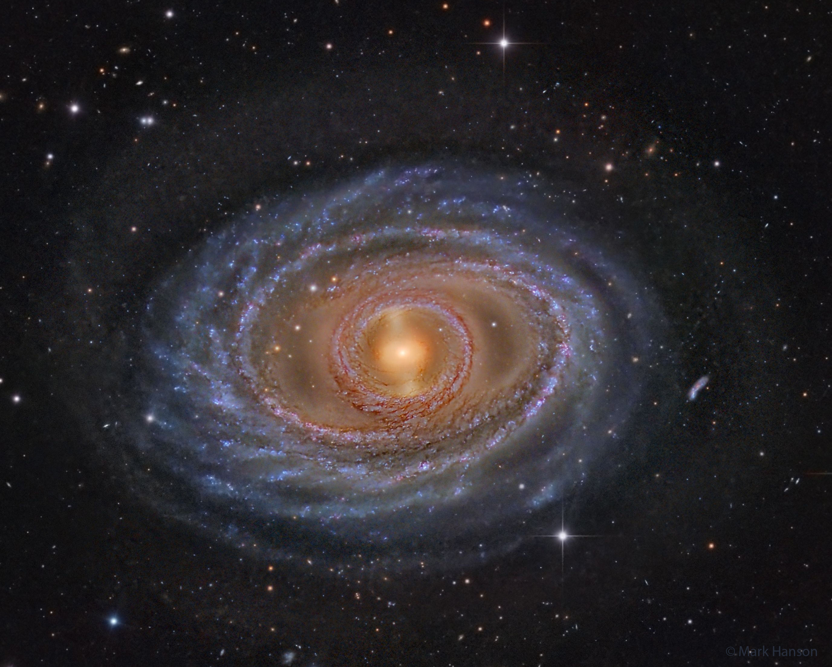 Kol'ca i peremychka v spiral'noi galaktike NGC 1398
