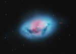 NGC 1360: туманность Яйцо дрозда