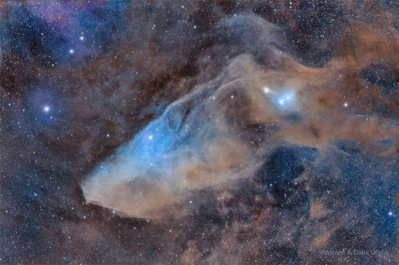 APOD: 2023 September 26 Б IC 4592: The Blue Horsehead Reflection Nebula