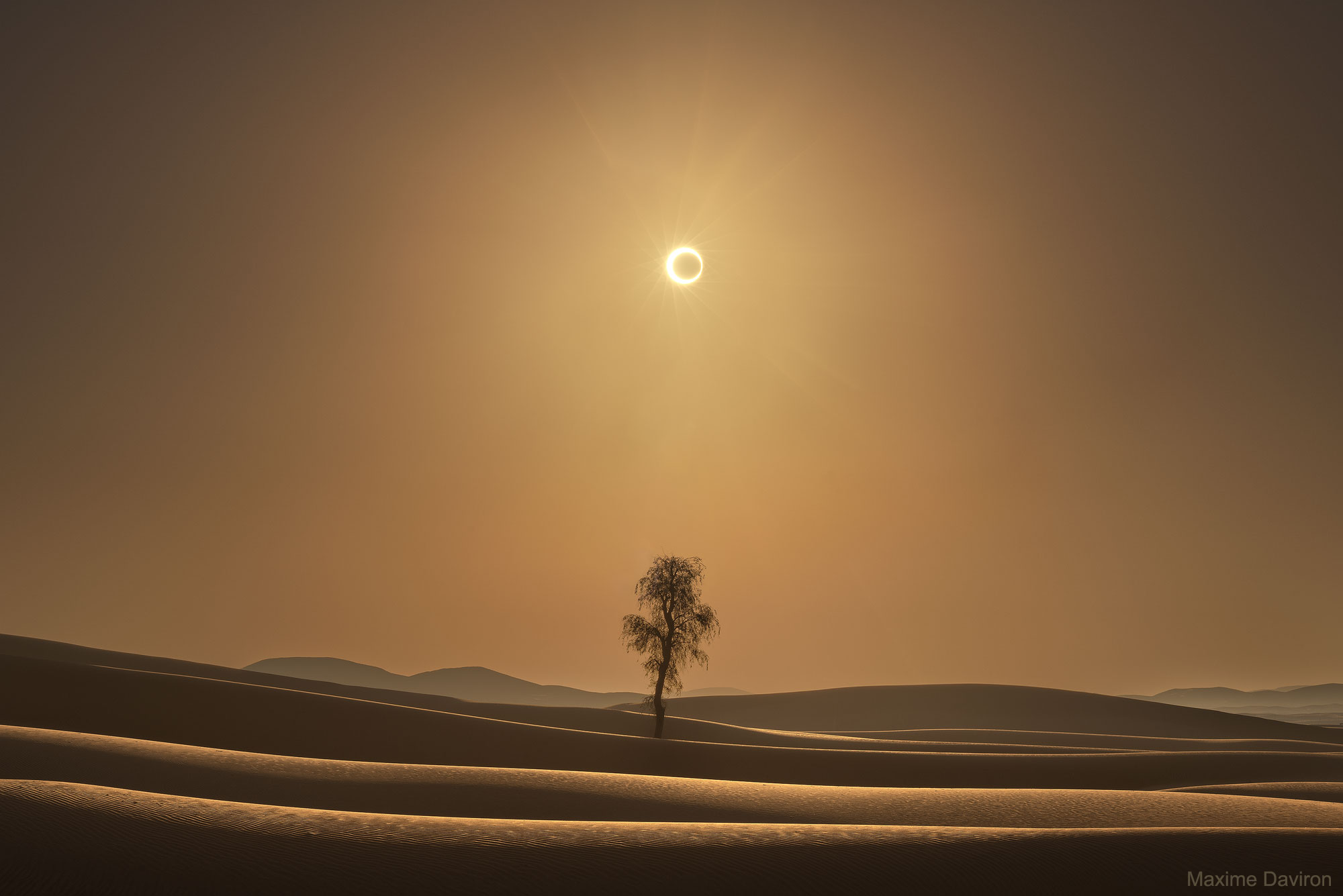 APOD: 2023 October 1  A Desert Eclipse