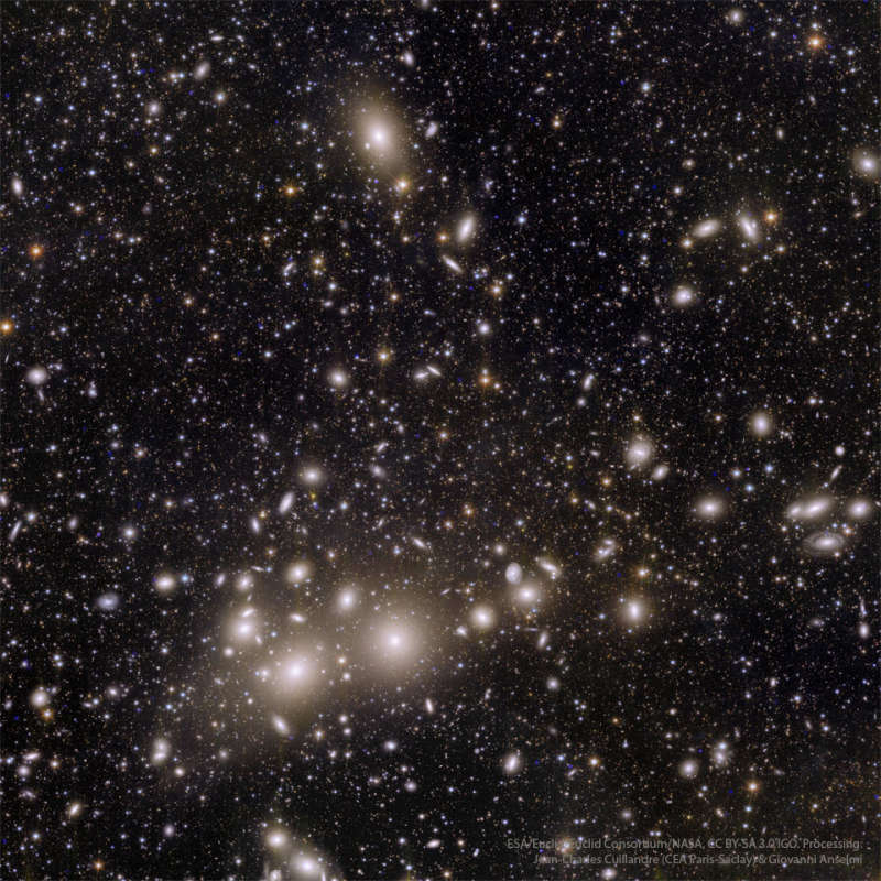 Skoplenie galaktik v Persee ot teleskopa "Evklid"