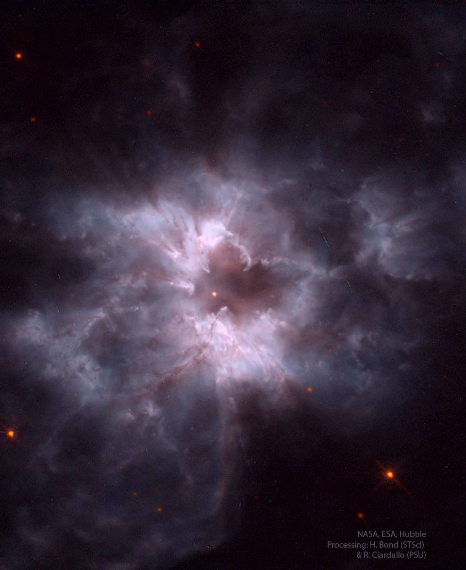 NGC 2440:    