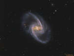 NGC 1365:   