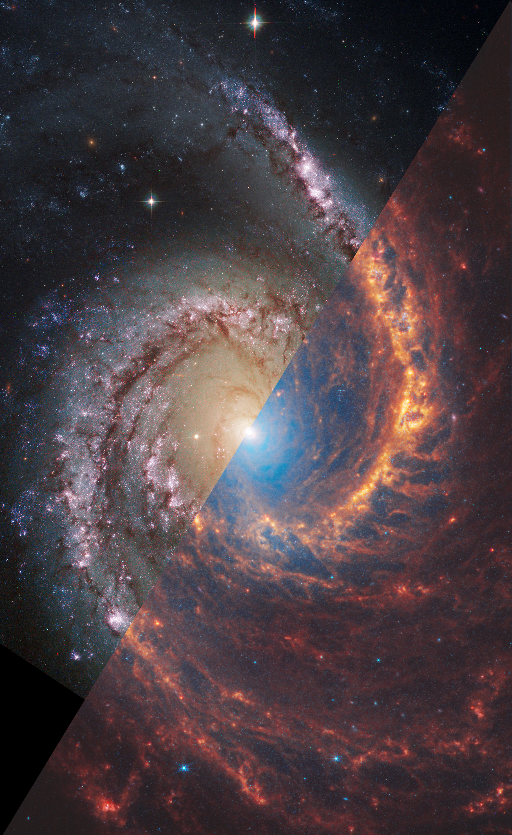 Spiral'naya galaktika NGC 1566 ot teleskopov "Habbl" i "Dzheims Vebb"