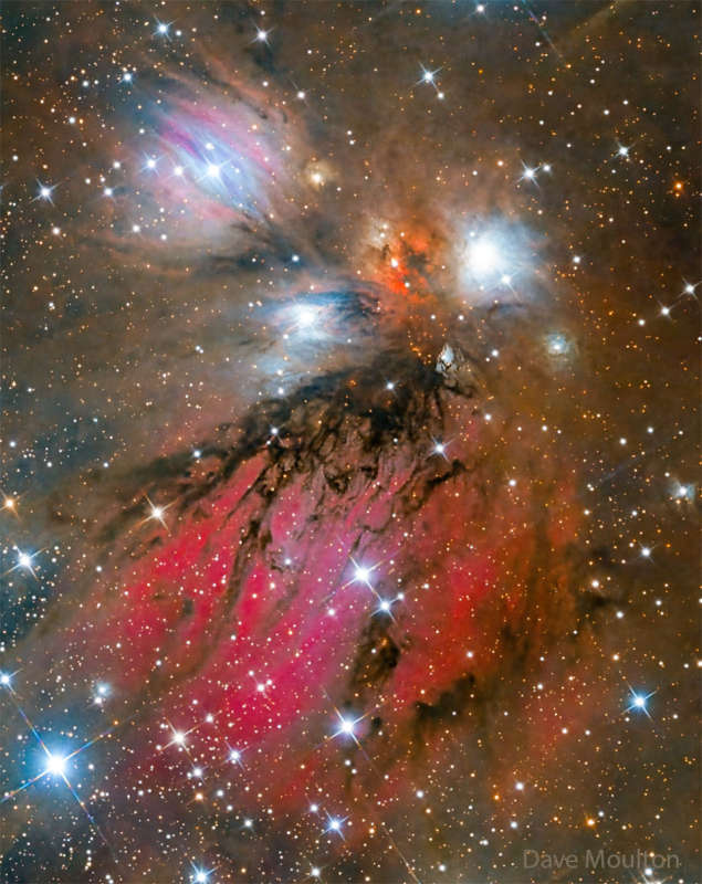 NGC 2170: abstraktnaya kartina s tumannost'yu Angel