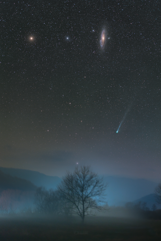 Kometa 12P/Ponsa-Bruksa severnoi vesnoi