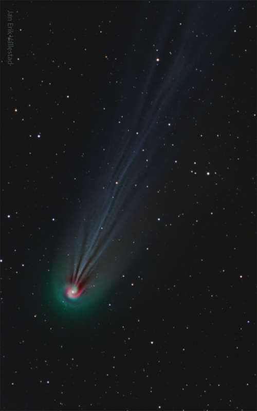 Zakruchivayushayasya koma komety Ponsa-Bruksa