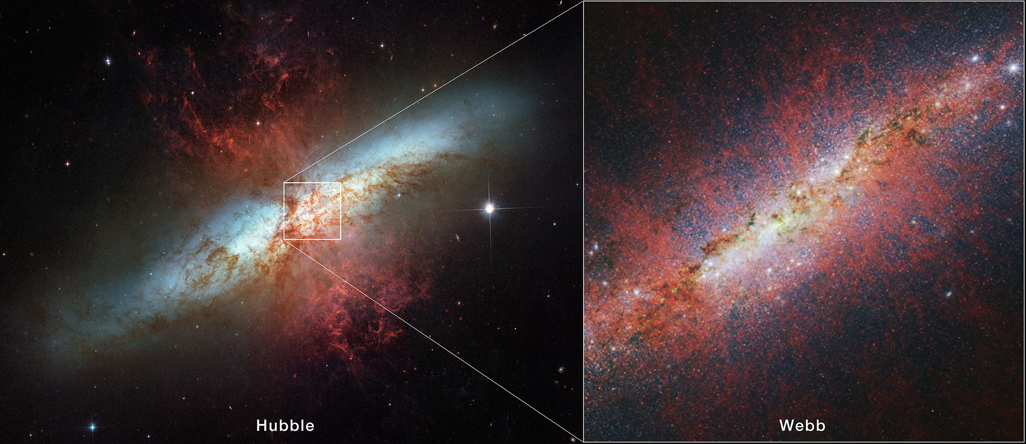 Galaktika Sigara ot teleskopov "Habbl" i "Dzheims Vebb"
