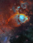 APOD: 2024 May 1  IC 1795: The Fishhead Nebula