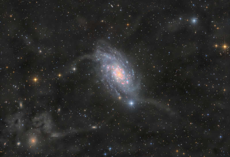 NGC 2403 v Zhirafe