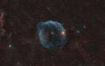 Sharpless 308: The Dolphin Head Nebula