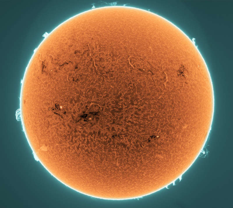 Prominences and Filaments on the Active Sun