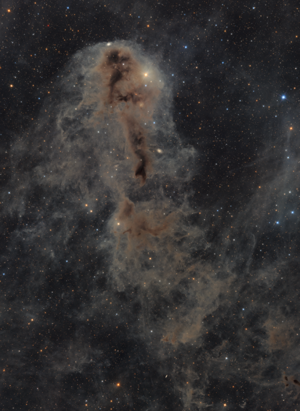 Lynds Dark Nebula 1251