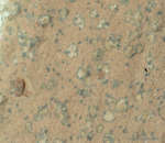 APOD: 2024 July 31 B Leopard Spots on Martian Rocks
