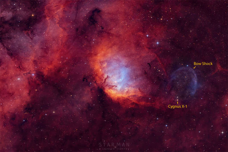 APOD: 2024 August 28 B Tulip Nebula and Black Hole Cygnus X 1