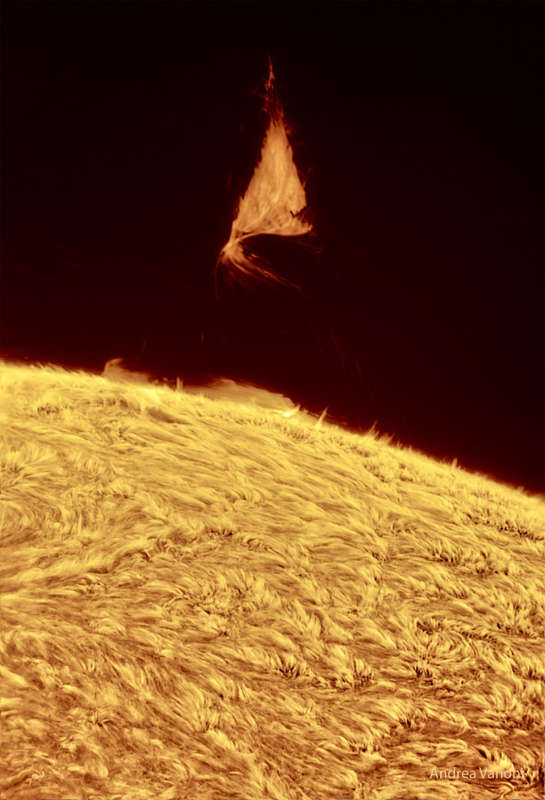 APOD: 2024 September 2 B A Triangular Prominence Hovers Over the Sun