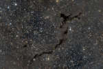 The Dark Seahorse of Cepheus