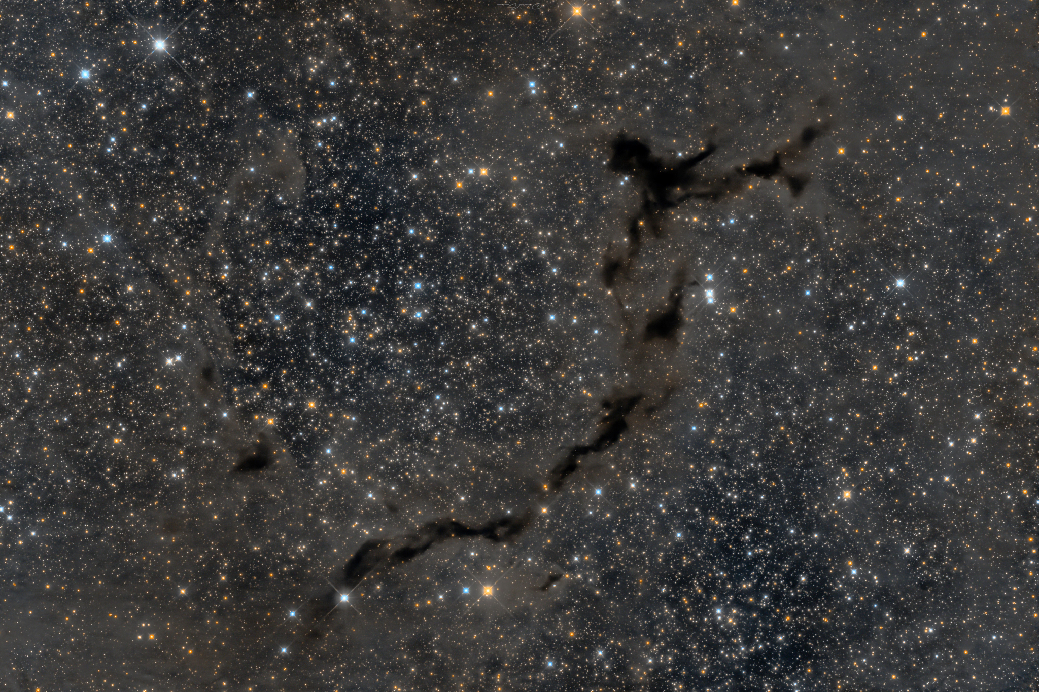 The Dark Seahorse of Cepheus