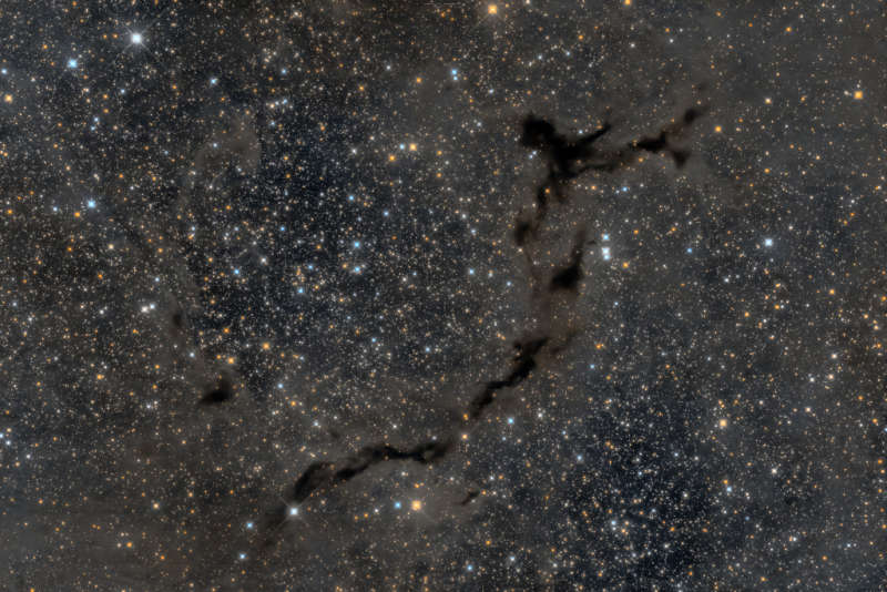 The Dark Seahorse of Cepheus