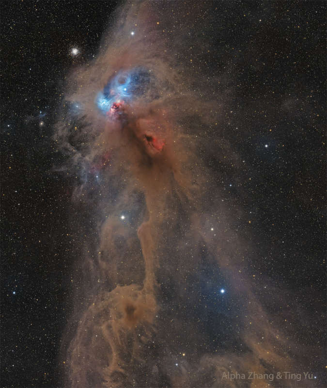 APOD: 2024 September 24 B NGC 6727: The Rampaging Baboon Nebula