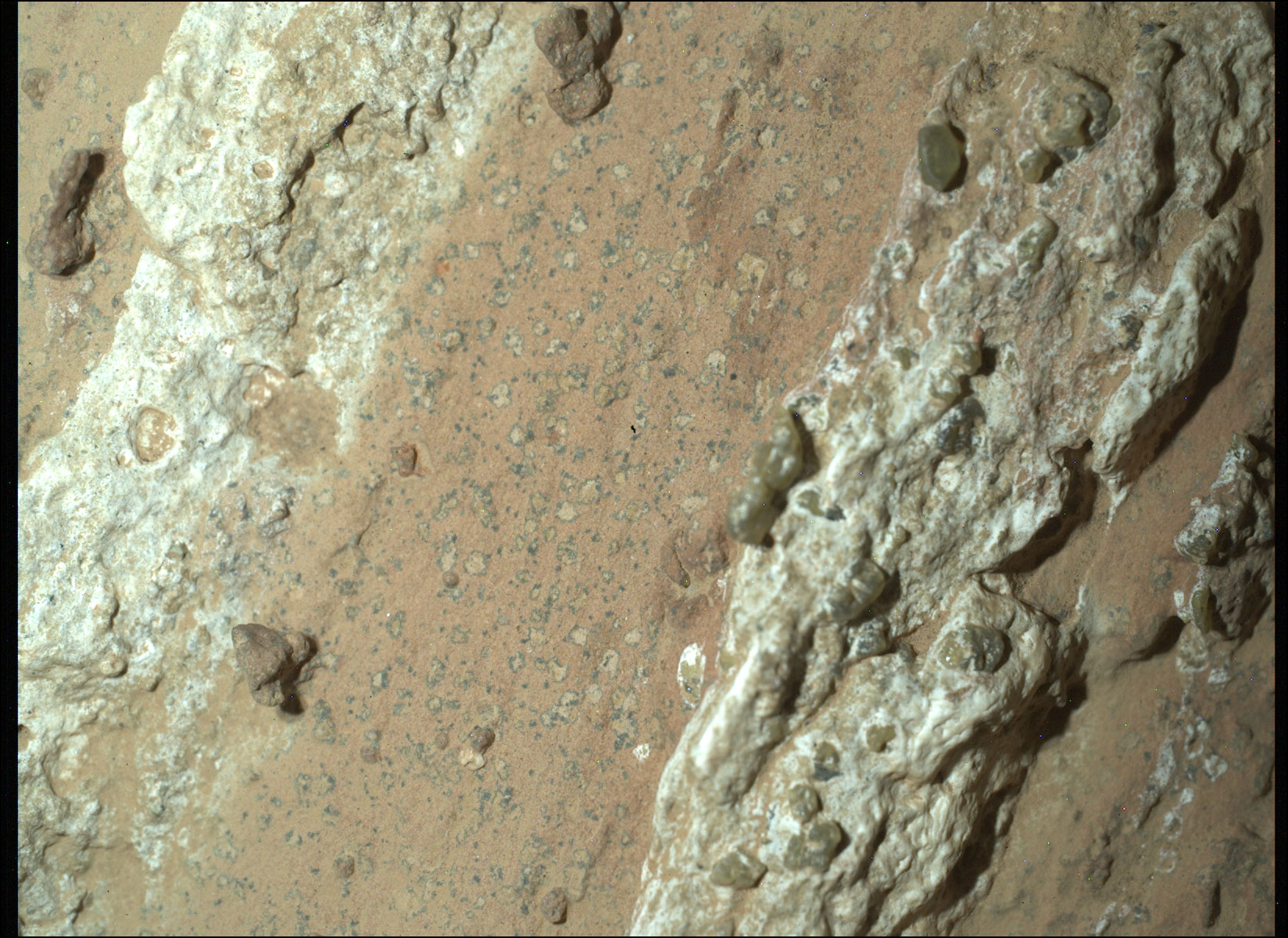 APOD: 2024 July 31  Leopard Spots on Martian Rocks