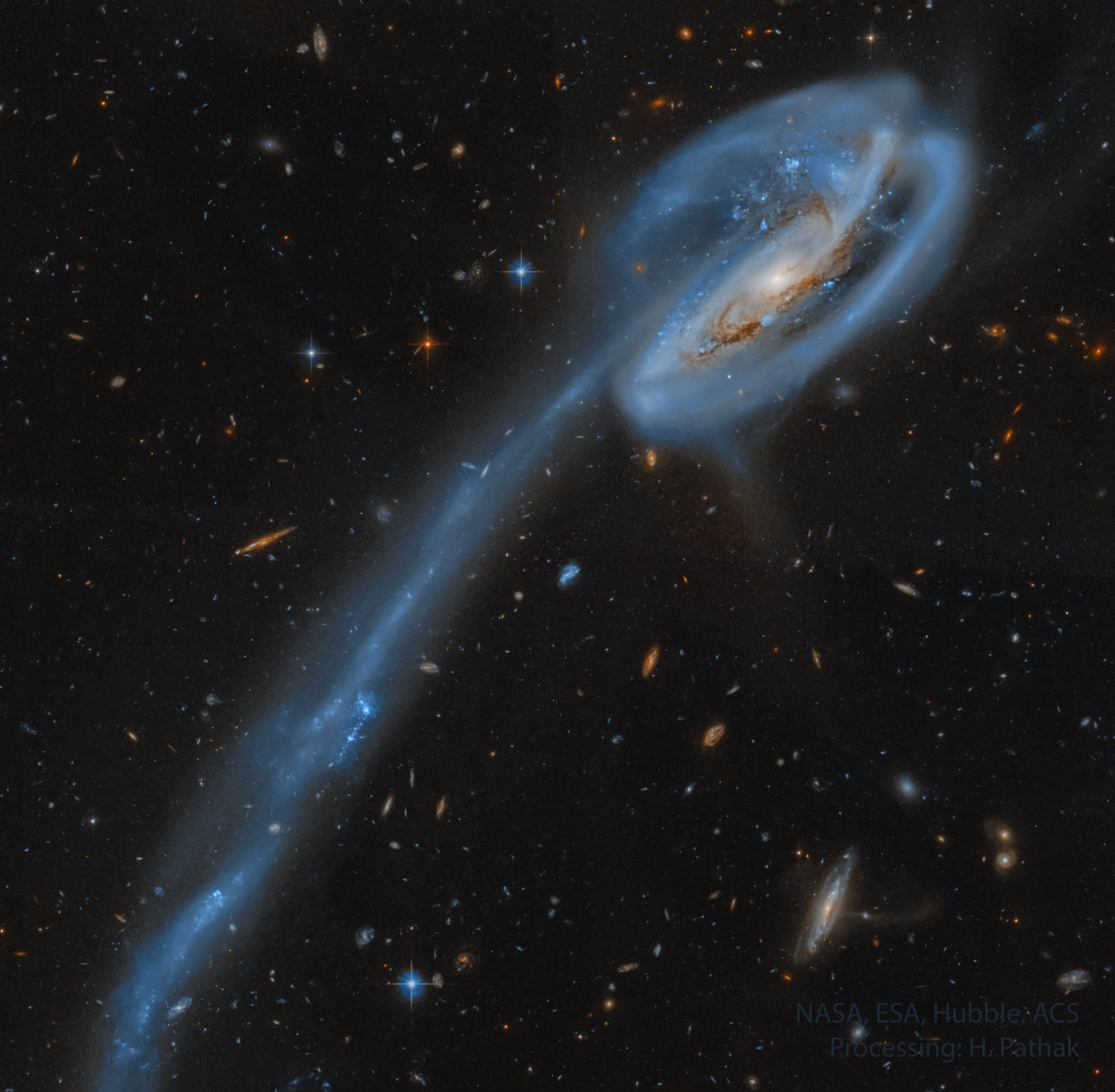 APOD: 2024 July 15  The Tadpole Galaxy from Hubble