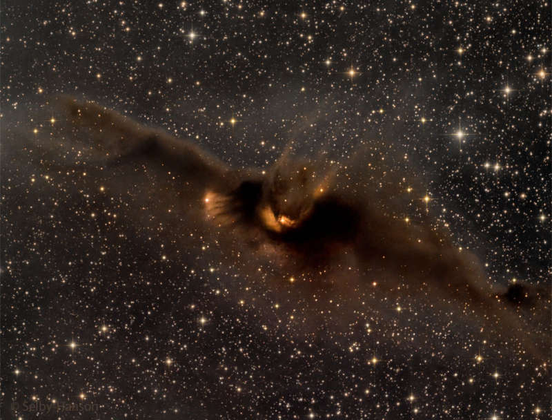 APOD: 2024 October 27  LDN 43: The Cosmic Bat Nebula