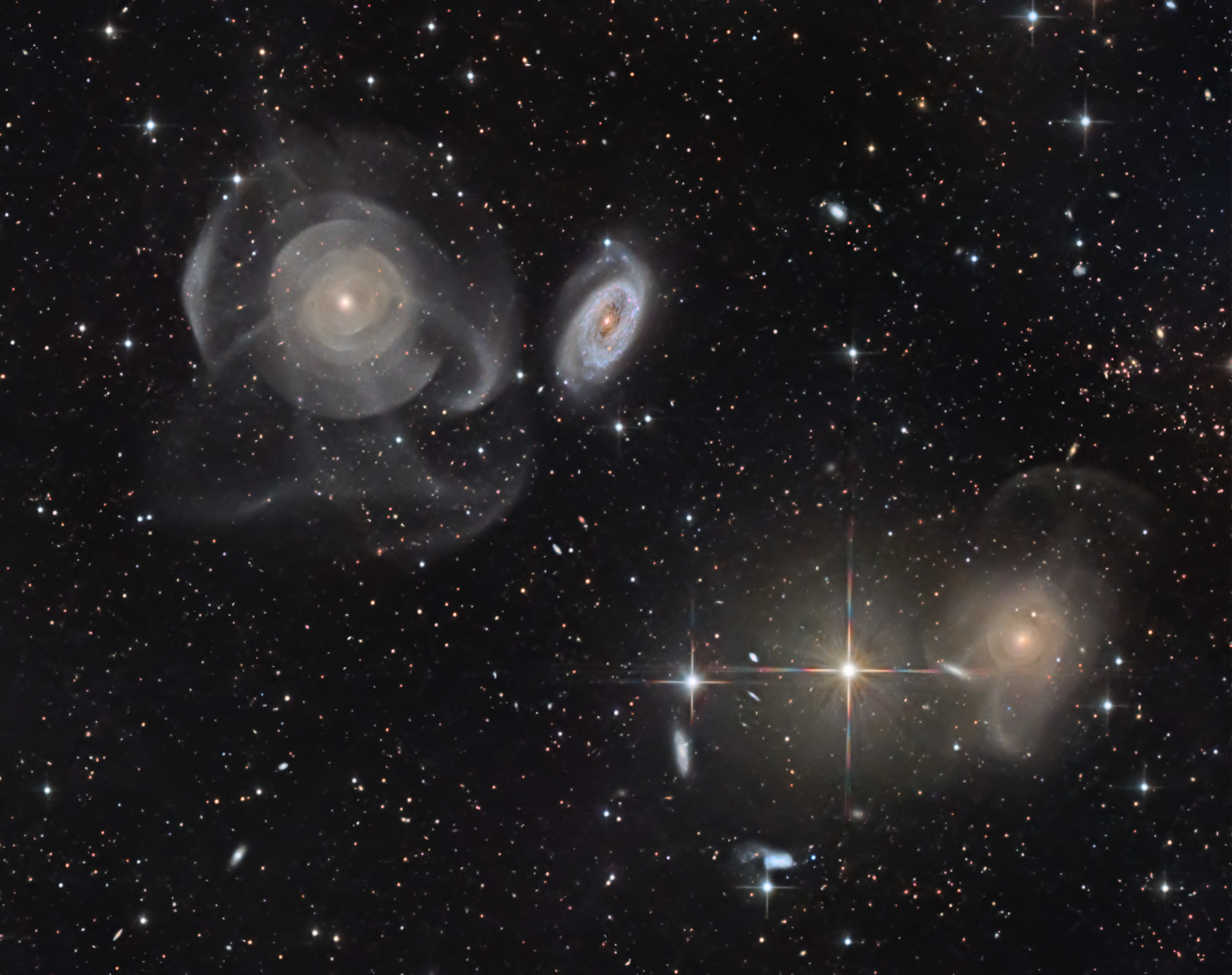 Shell Galaxies in Pisces