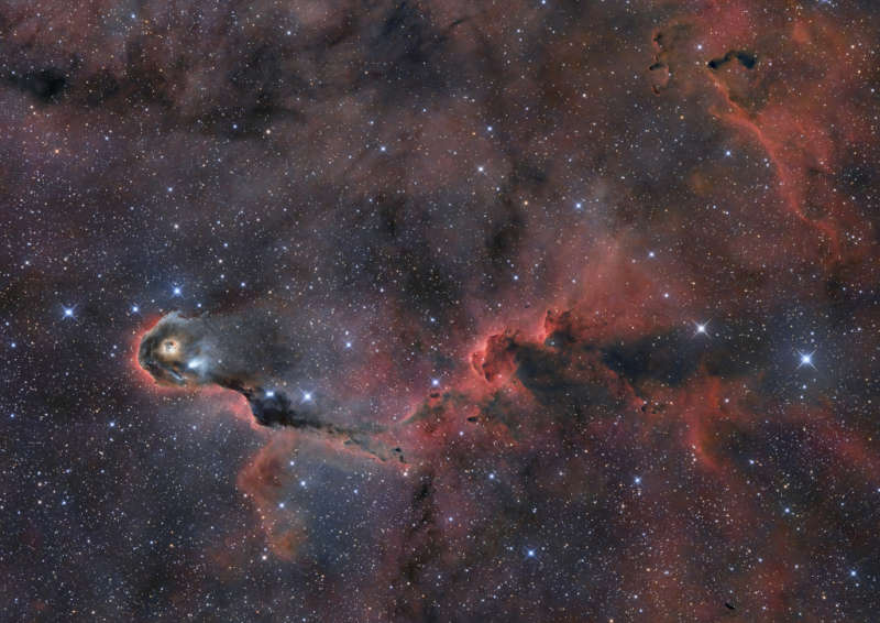 The Elephant s Trunk in Cepheus