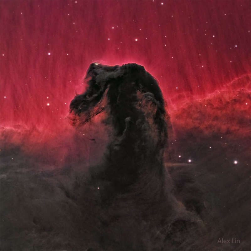 APOD: 2024 November 25  The Horsehead Nebula