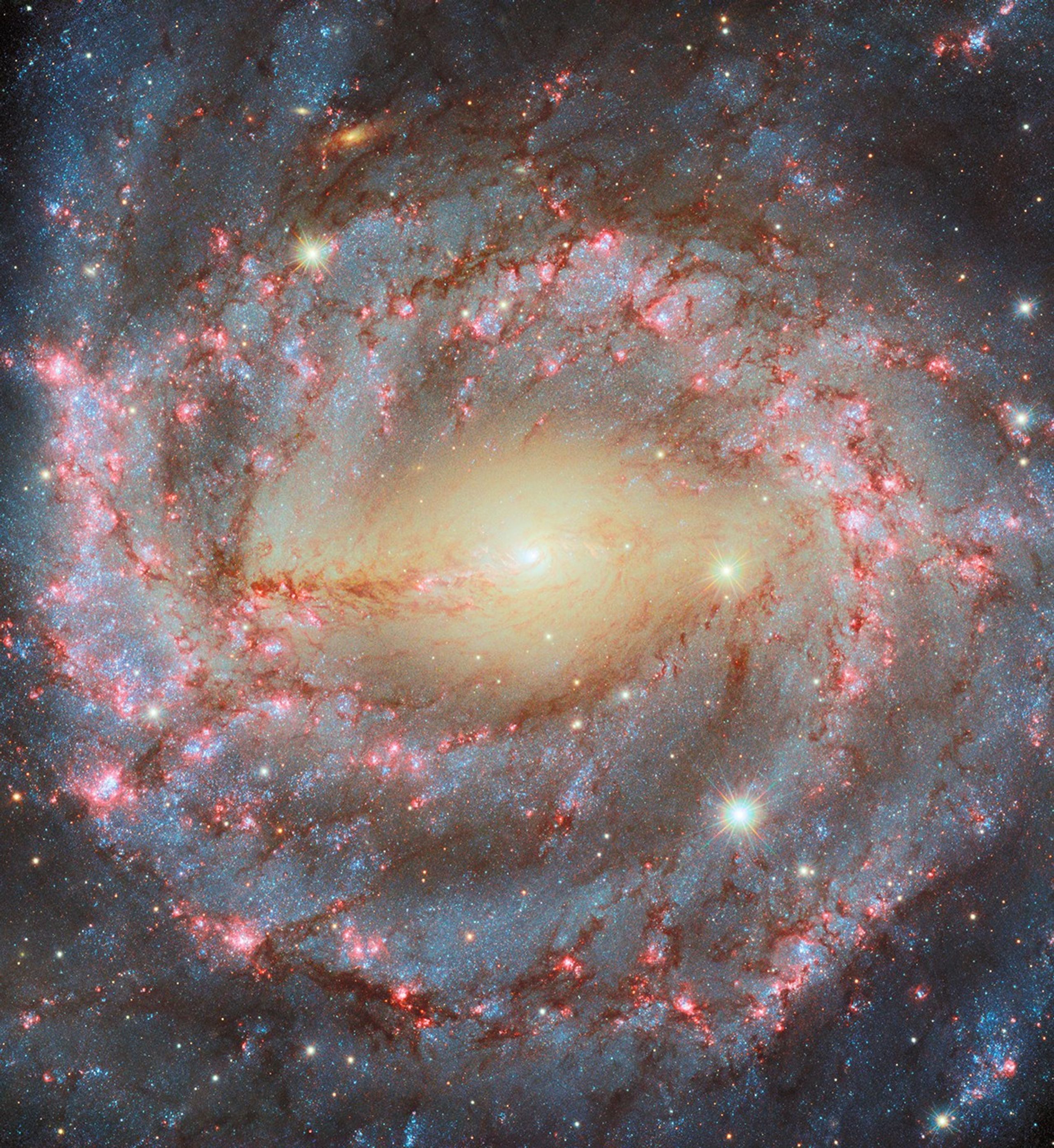 Velikolepnaya spiral'naya galaktika NGC 5643