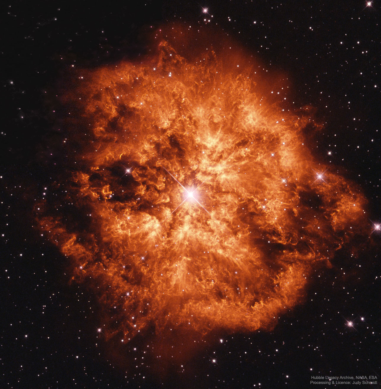 APOD: 2025 February 3 B Wolf Rayet Star 124: Stellar Wind Machine