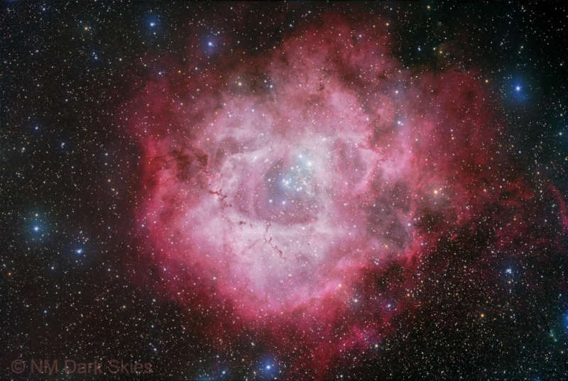  : NGC 2237  