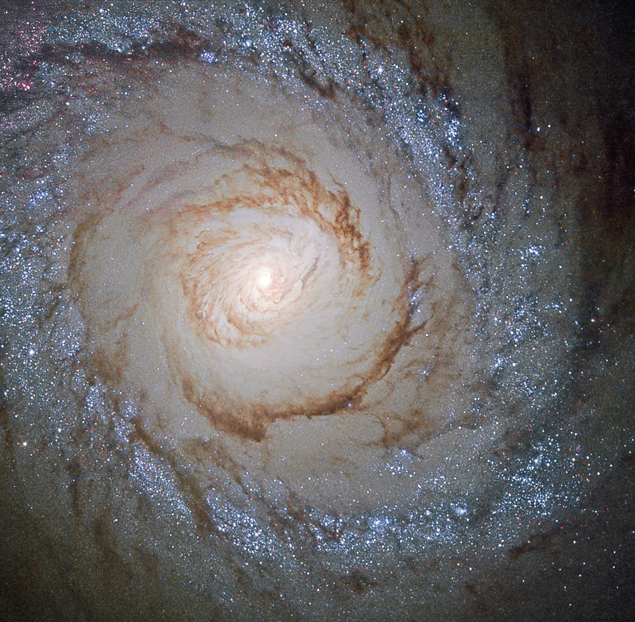 Starburst Galaxy Messier 94