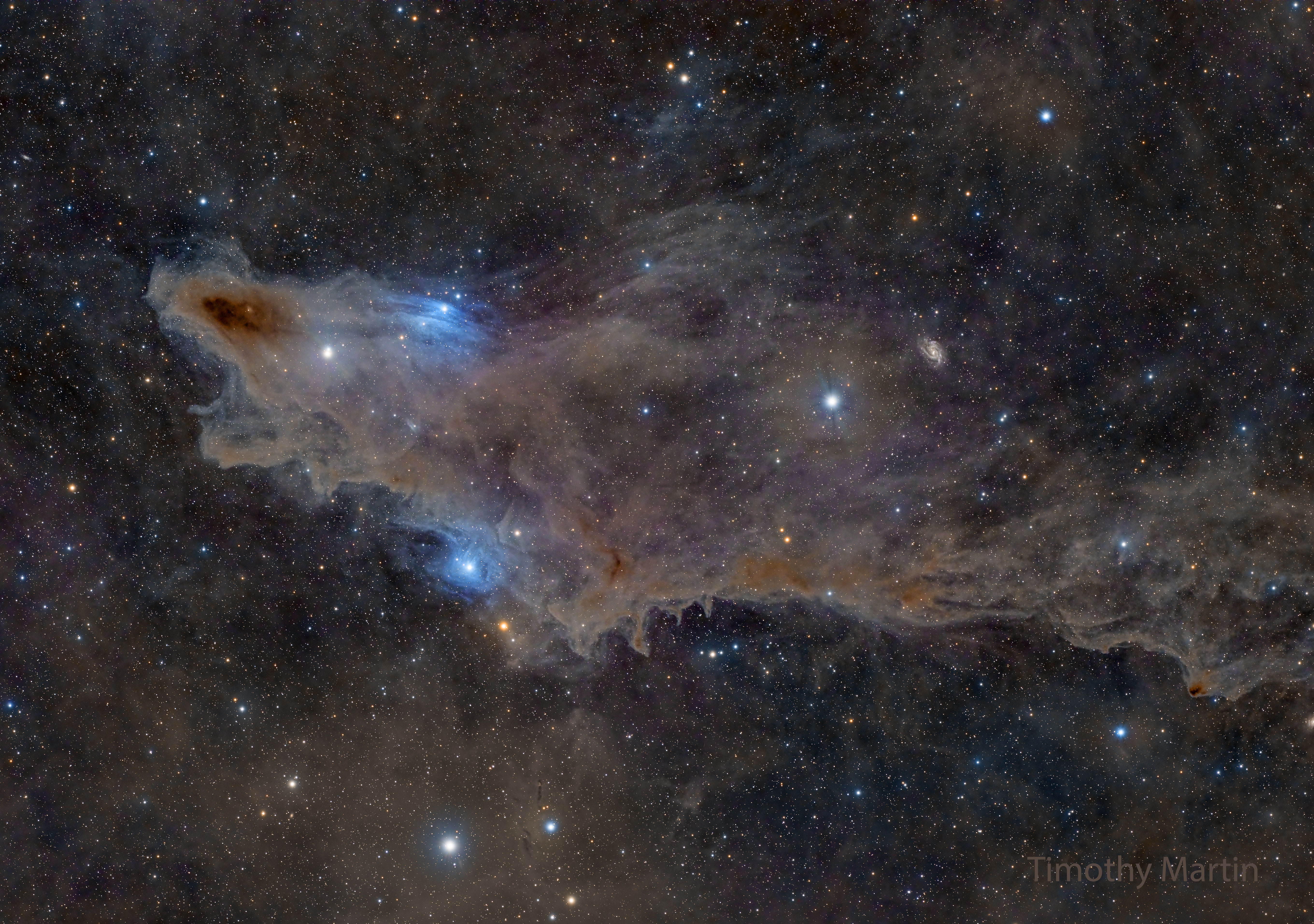 APOD: 2025 March 18 B LDN 1235: The Shark Nebula