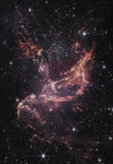 Young Star Cluster NGC 346
