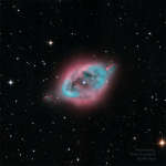 NGC 1360: туманность Яйцо дрозда