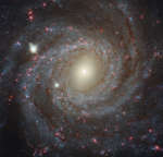 APOD: 2025 June 8 B Facing NGC 3344