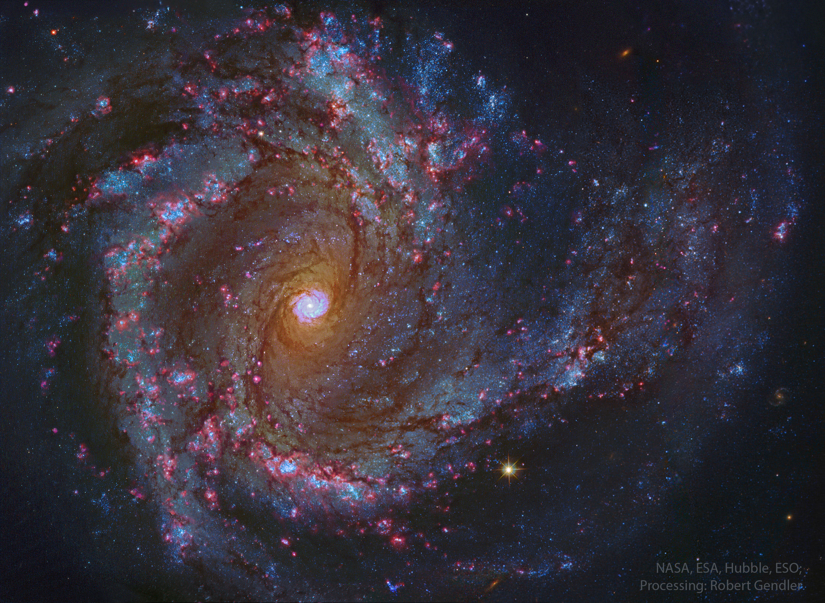APOD: 2025 June 24 B In the Center of Spiral Galaxy M61