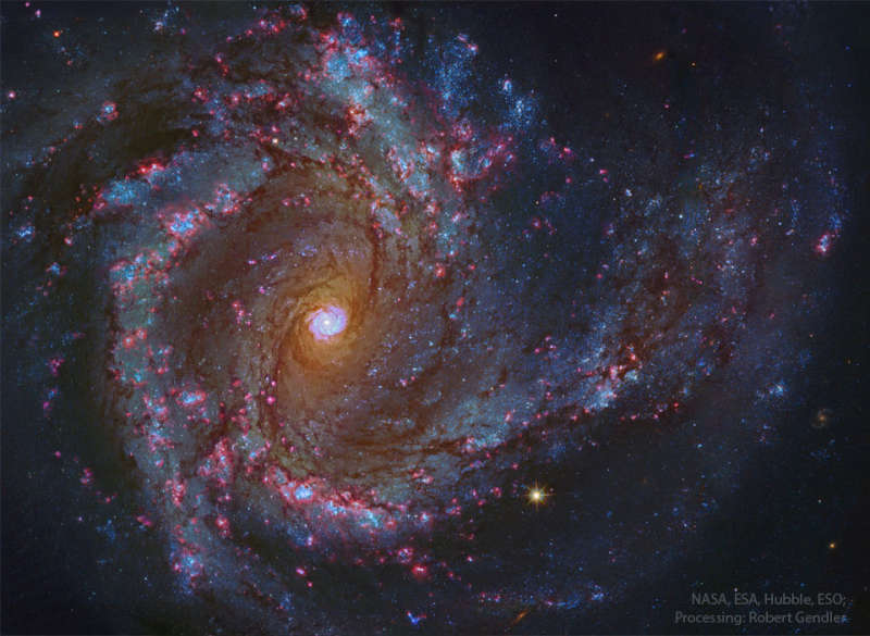     M61