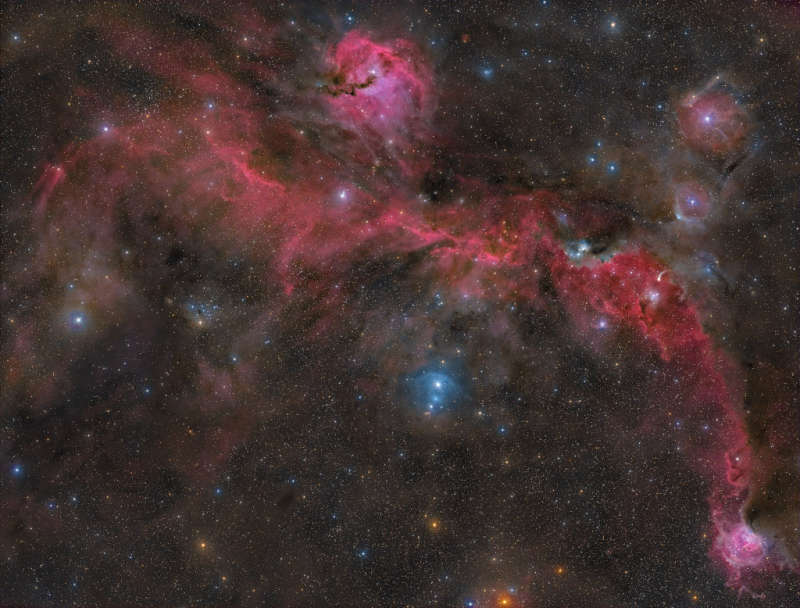 APOD: 2025 June 26 B The Seagull Nebula