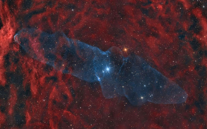 APOD: 2025 July 5 B Ou4: The Giant Squid Nebula
