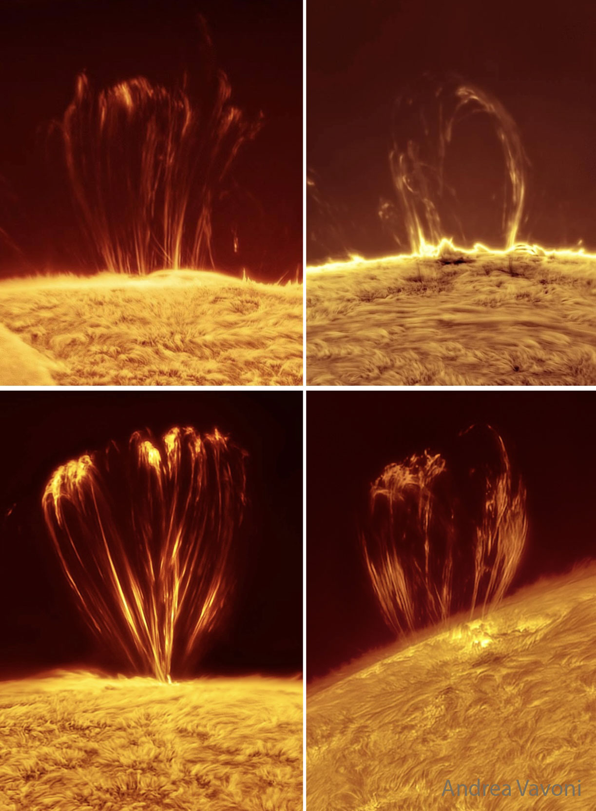 APOD: 2025 July 30  Coronal Loops on the Sun