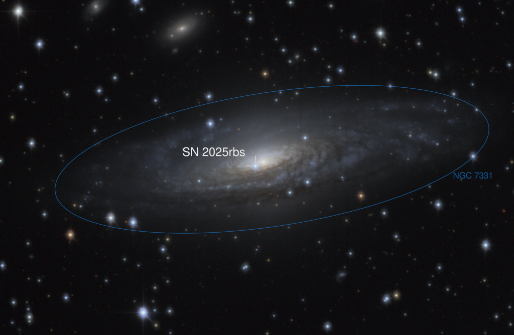 APOD: 2025 July 31  Supernova 2025rbs in NGC 7331