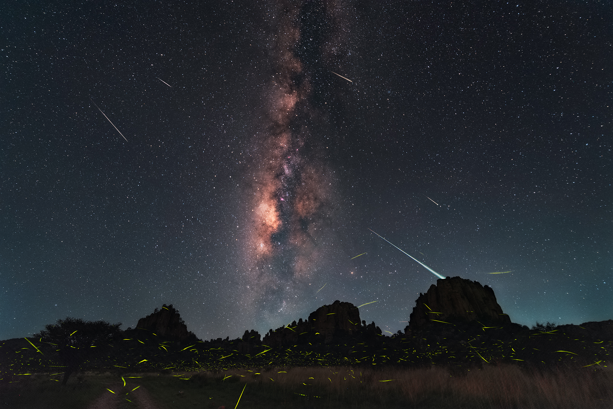 APOD: 2025 August 2  Fireflies, Meteors, and Milky Way